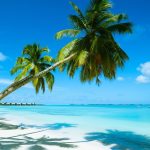 Anthony P Postiglione Jr