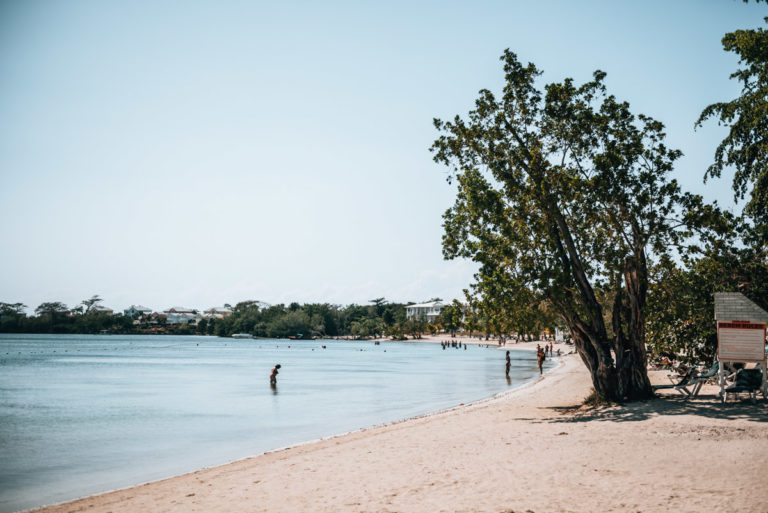 Anthony P Postiglione Jr