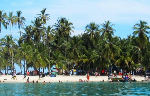 Anthony P Postiglione Jr